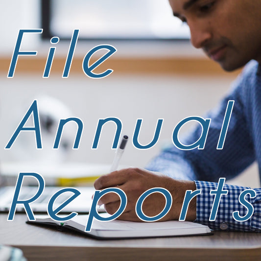 File Annual Reports