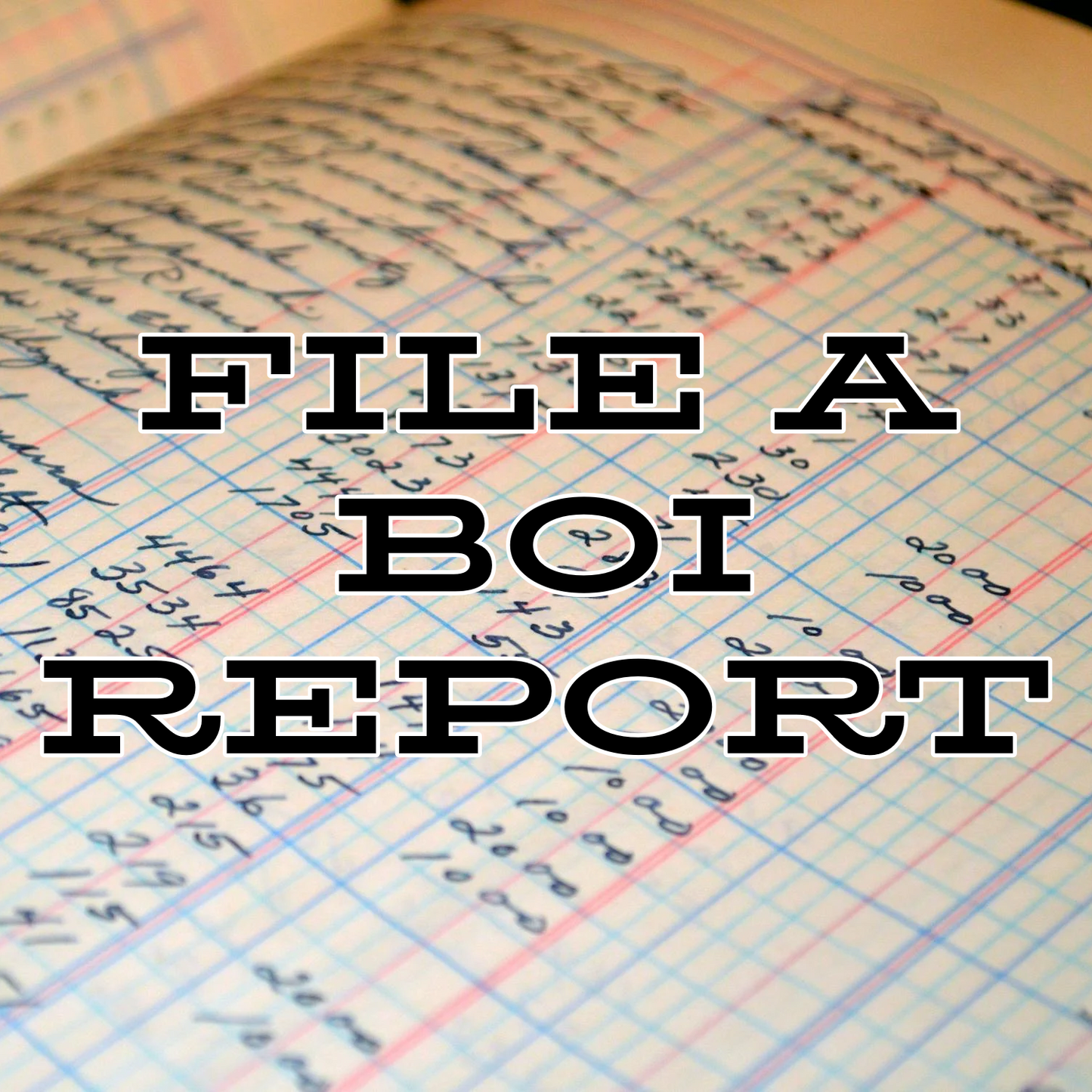 File a BOI Report