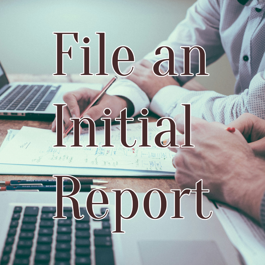 Initial Reports for LLCs and Corporations